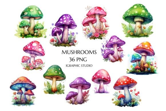 Fantasy Mushroom Clipart, Watercolor Gar: A Visual Designer’s Review for Bloggers & Publishers