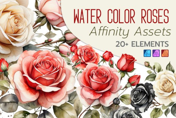 Water Color Roses - Affinity Assets Pack for Creative Sellers